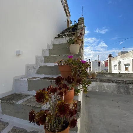 Design House & Terrace شقة Nardò