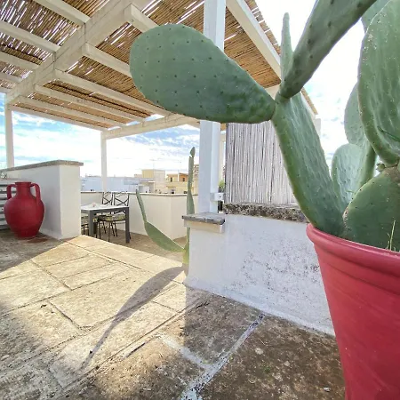Design House & Terrace *