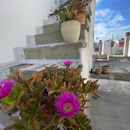 Apartamento Design House & Terrace